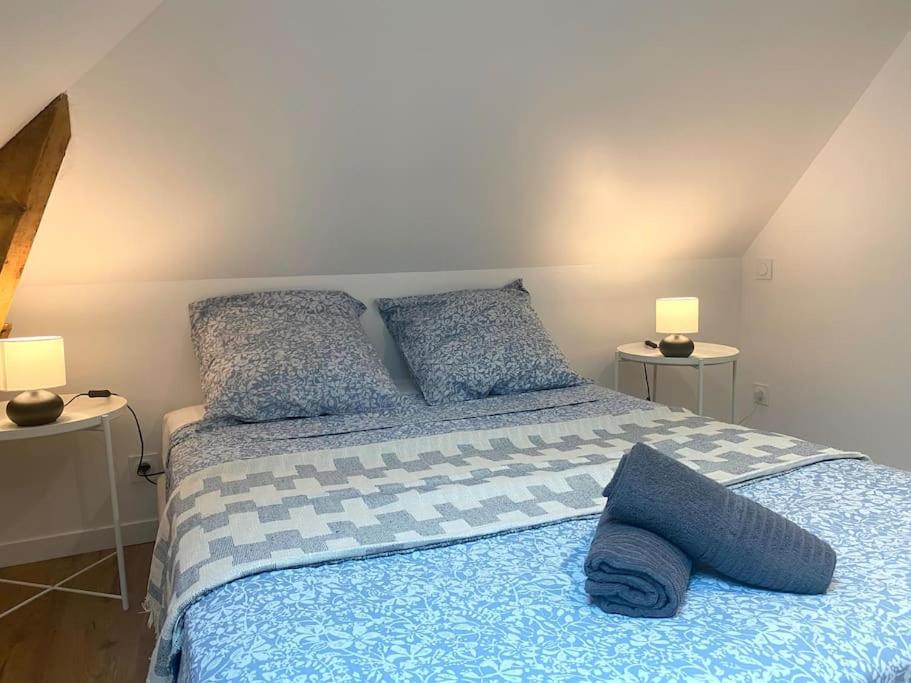 Le Thabor - T3 Proche Centre Appartement